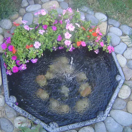 Dimovi Süzebolu
