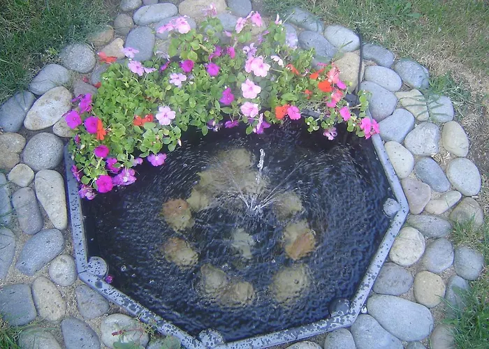 Dimovi Süzebolu